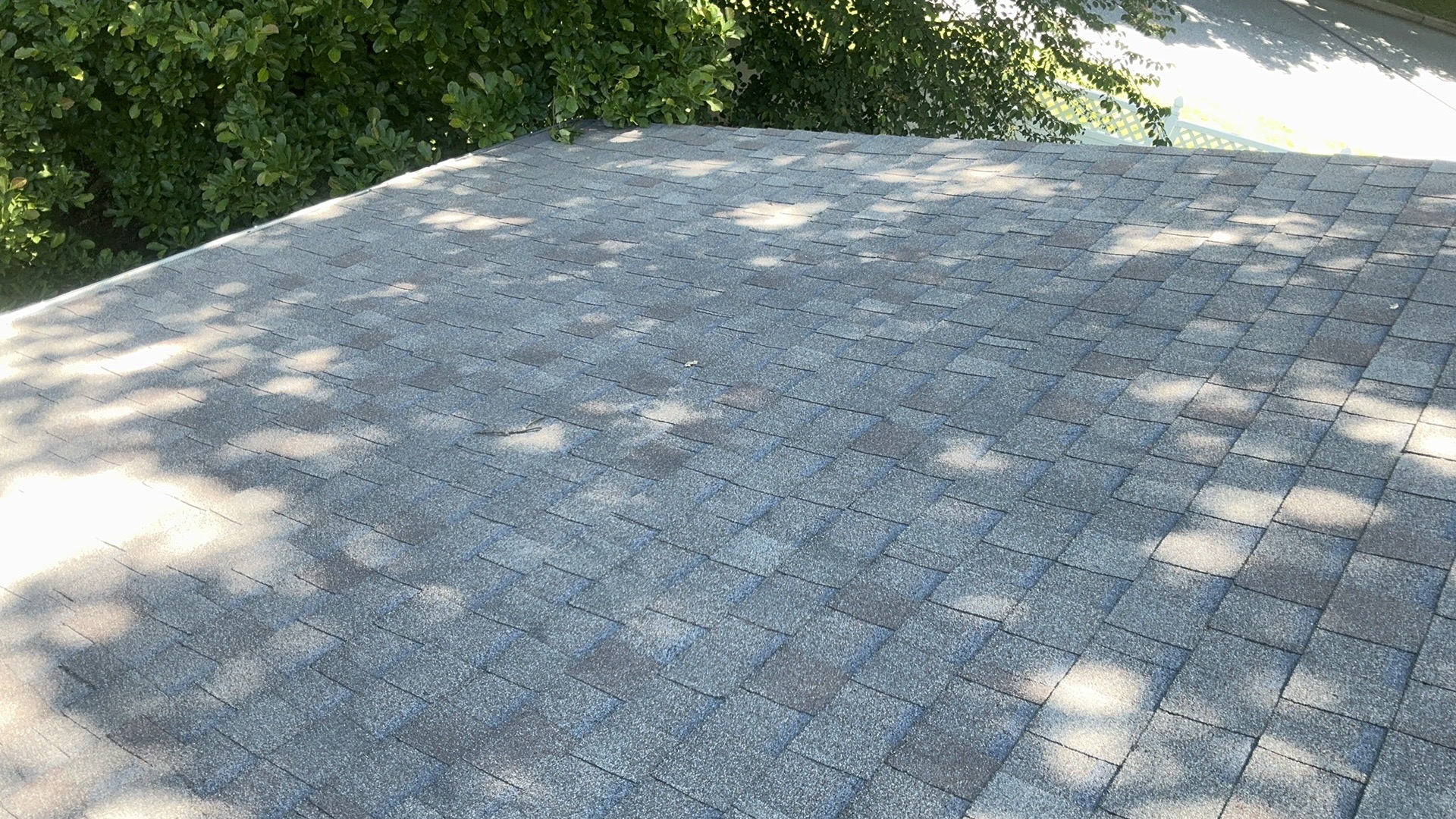 Weathered but intact asphalt shingles on an aging residential roof with tree shadows