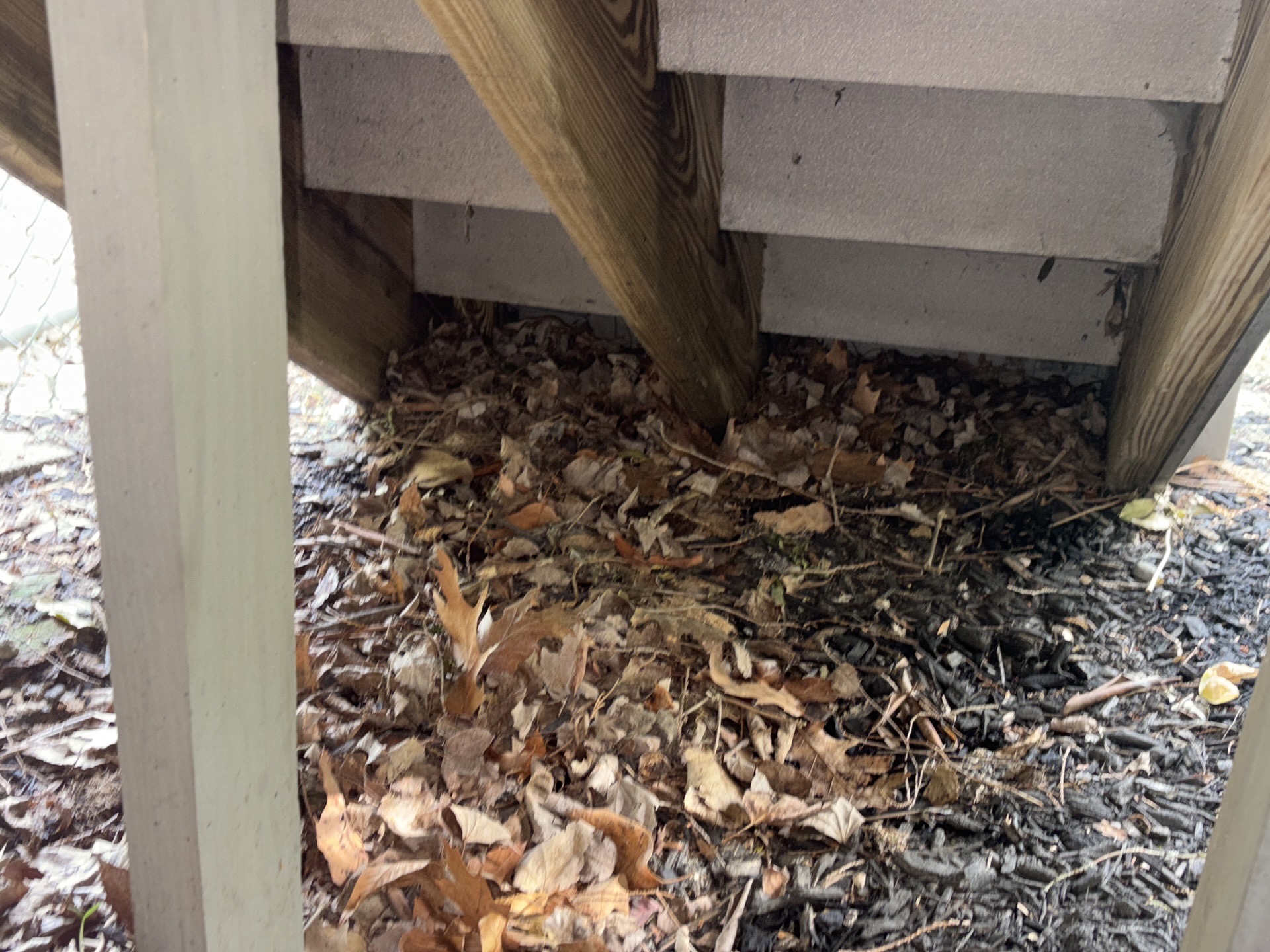 Deck stair stringer in direct contact with soil under a deck.