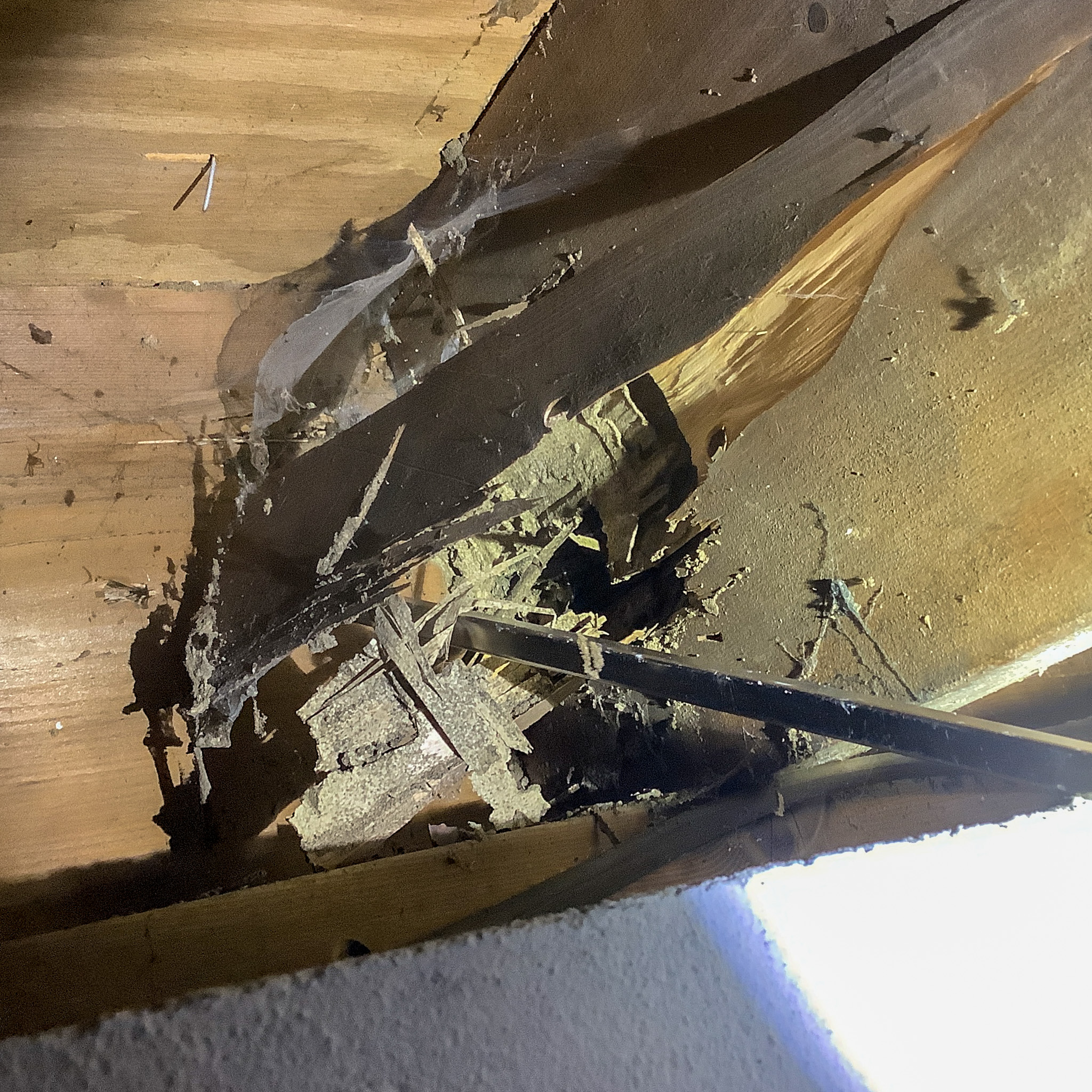 Close-up of severe structural wood damage showing splintered, crumbling joists with dark tunnels, hollowed-out sections, and debris, consistent with termite activity or advanced rot. A metal pry bar reveals the extent of the destruction inside the wood.
