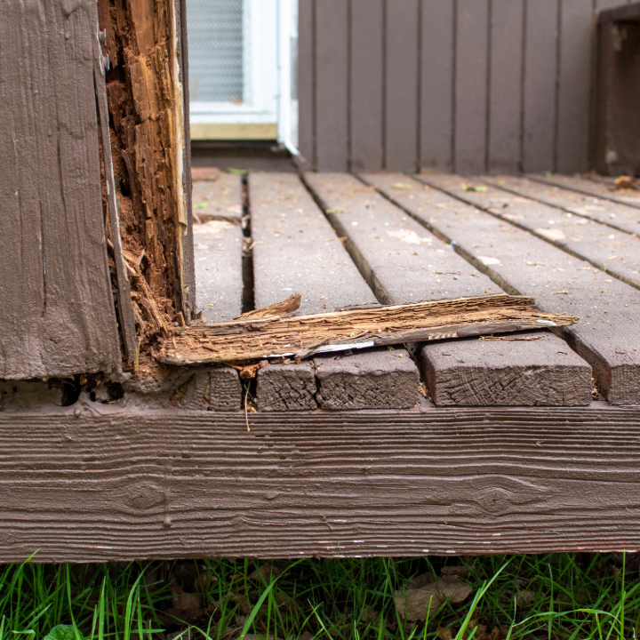 Severe termite damage on wooden deck post in Greater Philadelphia – hollowed-out structure shows active eastern subterranean termite infestation during termite inspection Philadelphia 