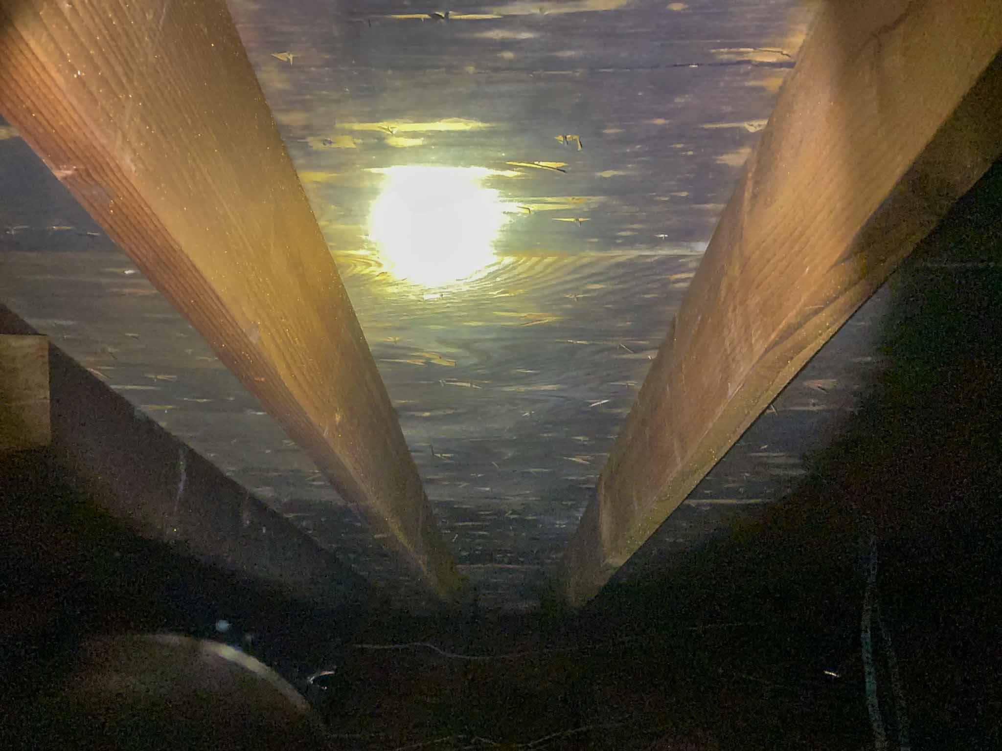 Underside of attic roof sheathing showing widespread gray discoloration and suspected mold or fungal staining in an Aston PA home