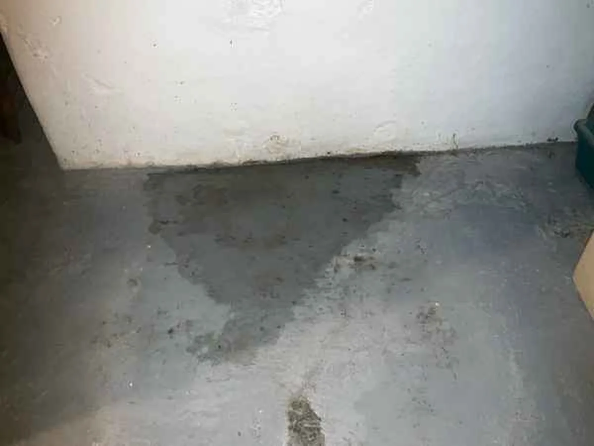 Standing water on a basement floor flagged as an Immediate Action item in a home inspection report