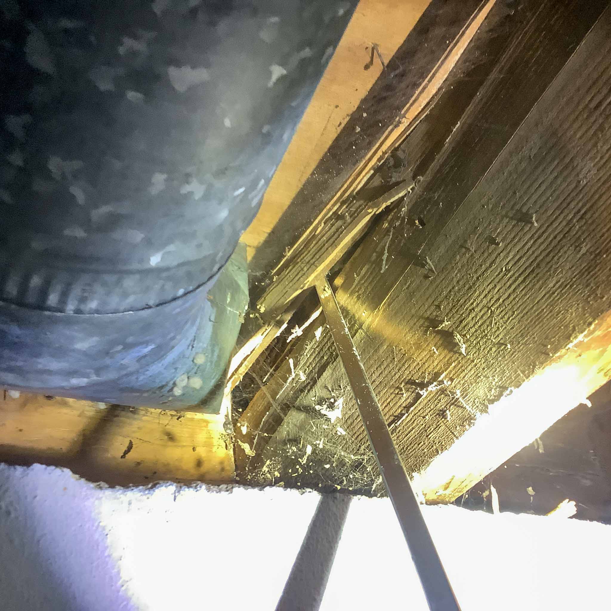 Termite damage and debris on basement floor joists beside ductwork, found during a ValueGuard termite inspection