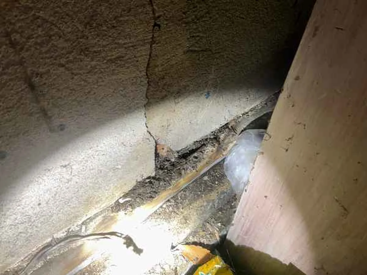 Rotted garage sill plate documented as an Immediate Action item in a Bryn Mawr home inspection report