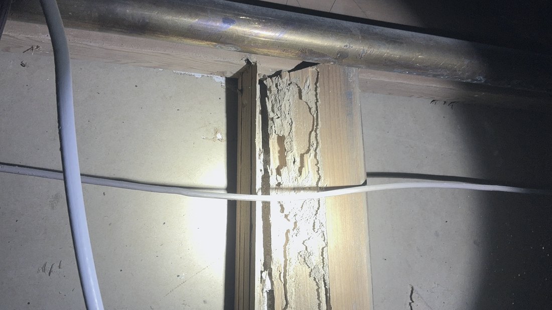 Termite damage with hollowed galleries and frass inside a wood framing member found during a home inspection.