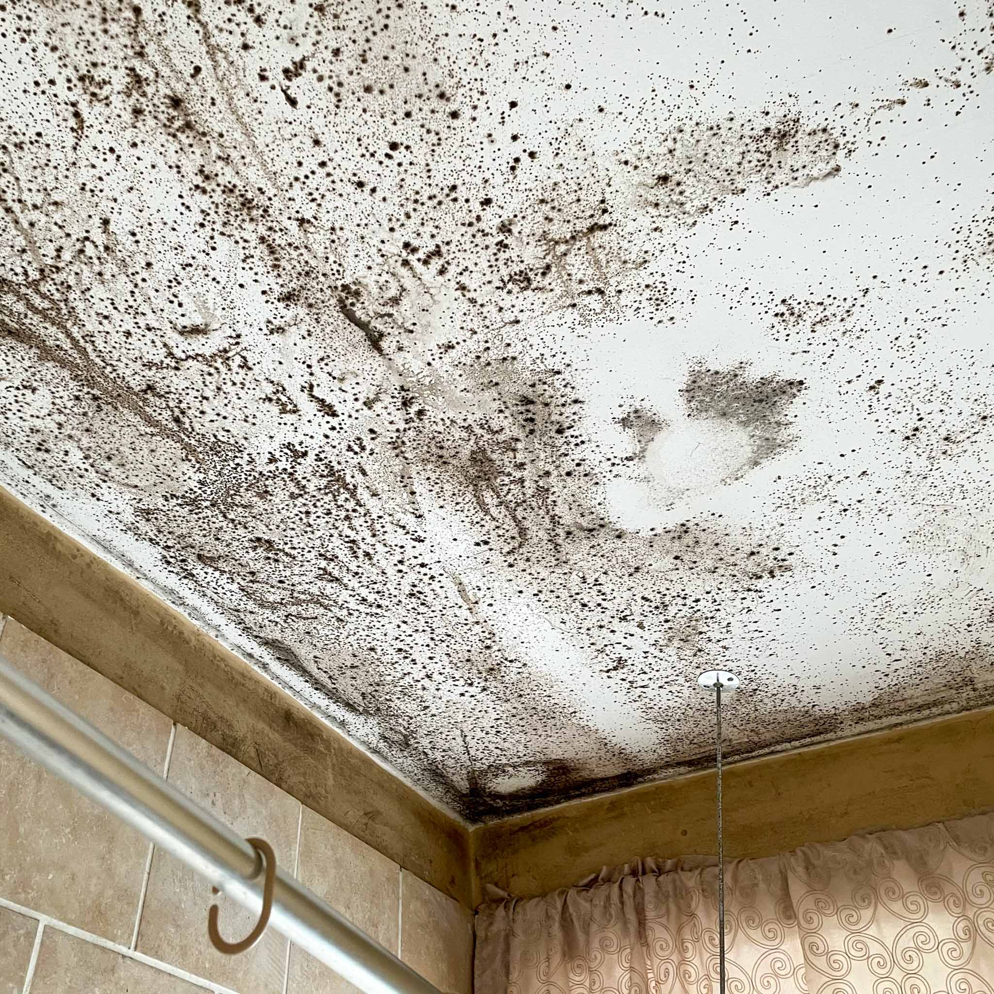 Heavy black mold growth spreading across a bathroom ceiling caused by poor ventilation and trapped moisture in a Greater Philadelphia home