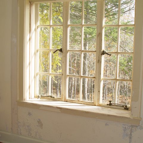 Lead-Based Paint Testing