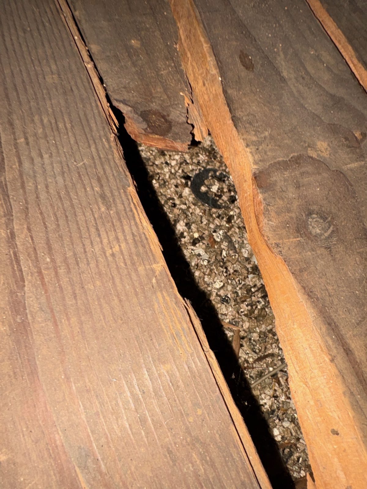 Close-up of vermiculite insulation granules visible through a split gap between old attic floorboards