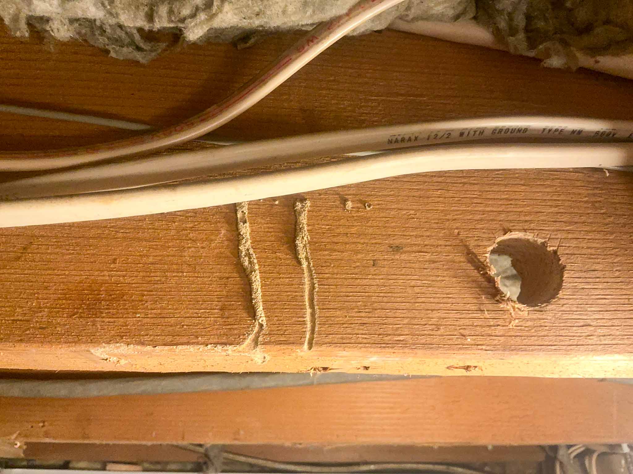 Wooden framing member with insect galleries packed with frass, evidence of wood-destroying insect activity in an Aston PA basement